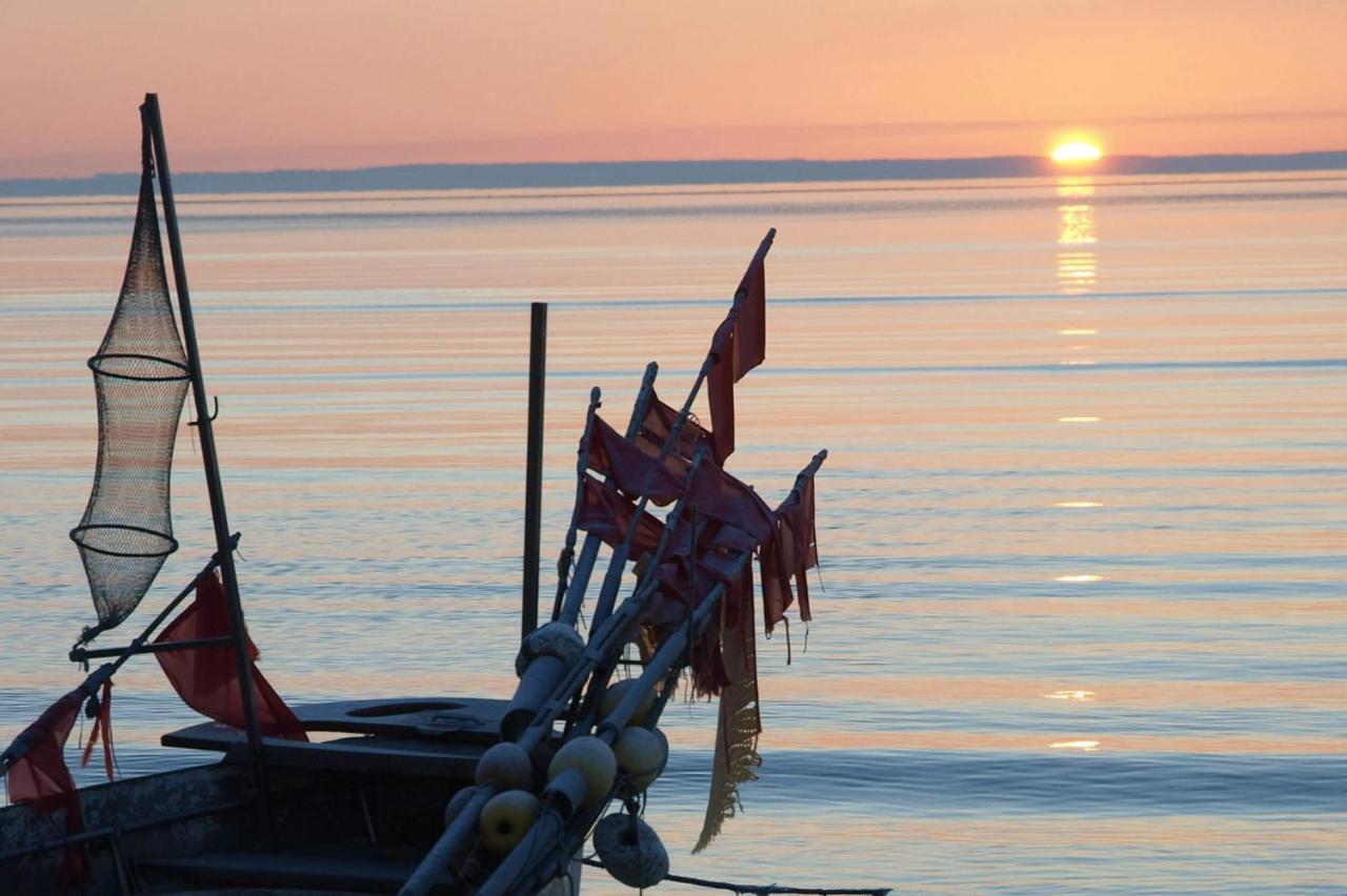 Fewo Seeblick - Familien - Hunde - Strandnah - Ostseeblick - Sauna & Wellness ジールクスドルフ エクステリア 写真