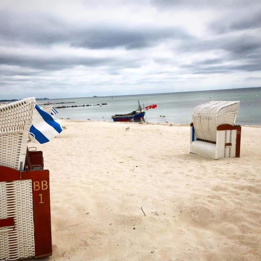 Fewo Seeblick - Familien - Hunde - Strandnah - Ostseeblick - Sauna & Wellness ジールクスドルフ エクステリア 写真