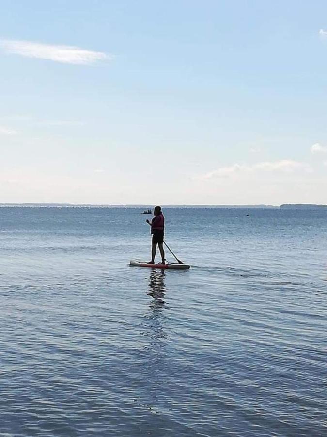 Fewo Seeblick - Familien - Hunde - Strandnah - Ostseeblick - Sauna & Wellness ジールクスドルフ エクステリア 写真